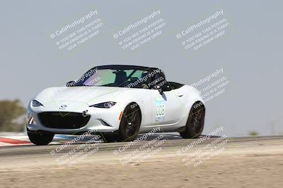 media/Jul-26-2025-Speed Ventures (Sat) [[fe569e6cf0]]/Purple Group/Grapevine/